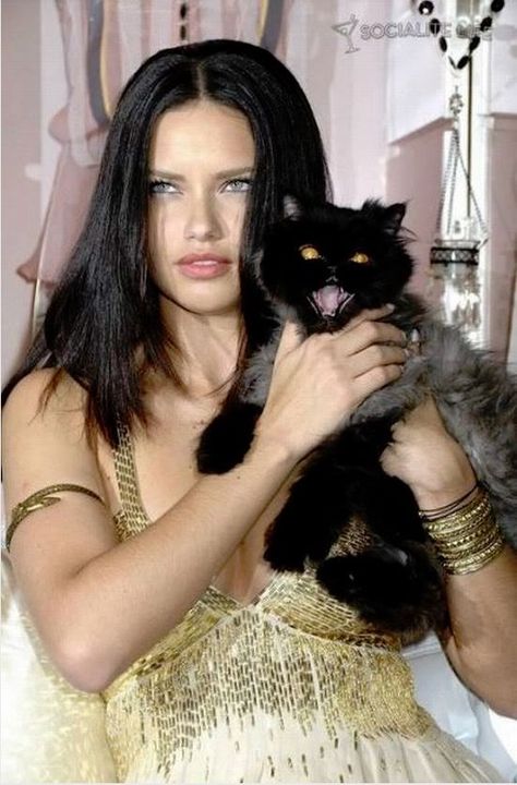 Adrina Lima, Lima Model, Celebrities With Cats, Adriana Lima Style, Adriana Lima Young, Adriana Lima Victoria Secret, Vs Models, Victorias Secret Models, Victoria Secret Angels