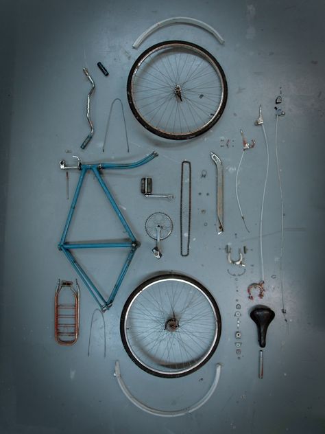 Things Organized Neatly, Cycling Quotes, Push Bikes, I Want To Ride My Bicycle, Bicycle Maintenance, Custom Bicycle, Bicycle Art, Cycling Art, Bike Shoes