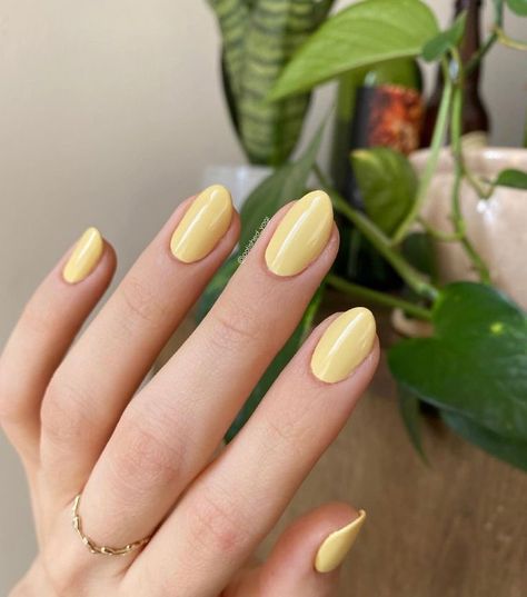 ━ 𝐡𝐚𝐳𝐞𝐥 ☻ Gel Nails Yellow Pastel, White Yellow Nails, Short Yellow Nails, Rubber Nails, Acrylic Nails Yellow, Almond Acrylic Nails Designs, Yellow Nails Design, Yellow Nail, Pastel Nails Designs