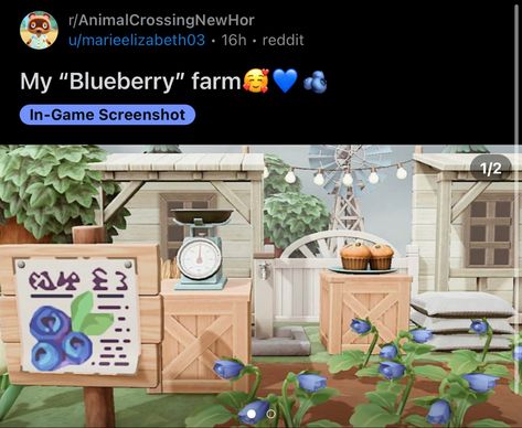 Acnh Blueberry Farm, Acnh Rainbow, Acnh Strawberry, Rainbow Island, Blueberry Farm, Blueberry Pancakes, Strawberry Shortcake, Firefly, Horticulture