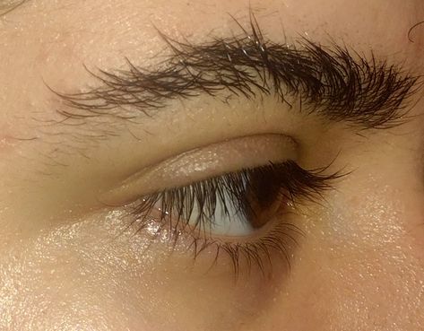 Long Eyelashes Man, Messy Eyebrows Aesthetic, Dark Thick Eyebrows, Bushy Eyebrows Aesthetic, Bushy Eyebrows Men, Thick Eyebrows Aesthetic, Long Eyelashes Men, Eyebrow Reference, Eyebrow Thick