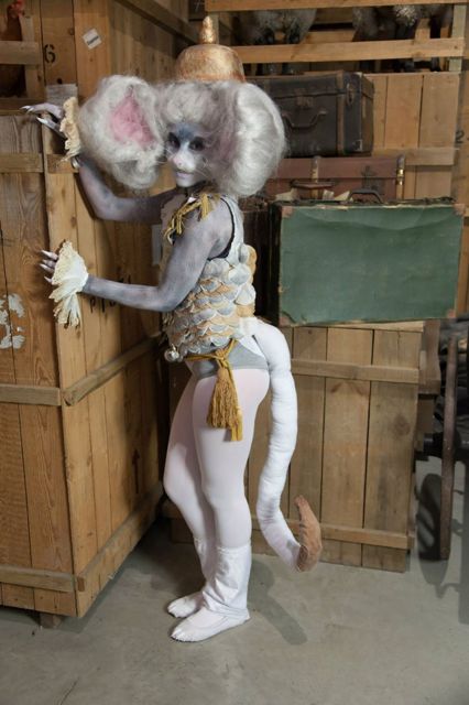 Funny Rats Dressed Up, Wet Rat Funny, Dormouse Alice In Wonderland Costume, Rat Halloween Costumes, Rat Cosplay, Rat Costumes, Rat Outfit, Dormouse Alice In Wonderland, Poodle Costume