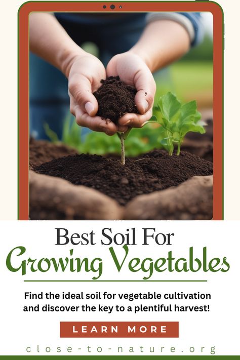 Are you prepared to grow vegetables that thrive? 🥕🌱 Find the perfect soil mix to increase growth, enhance nutrient uptake, and maintain the health of your garden throughout the growing season! 🌿🍅 Give your plants the support they require to produce a plentiful crop. 🌻💚

 #VegetableGardening  #GardenSoil #OrganicGardening #SoilHealth  #GardeningTips #SoilPreparation #GardeningEssentials Peat Soil, Grow Vegetables, Soil Testing, Soil Ph, Sandy Soil, Trust You, Please Stay, Clay Soil, Soil Health