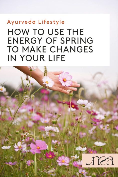 Spring is a great season to make changes in our lives. In Ayurveda it marks the transition from a Vata dominated period into a Kapha one. This brings with it some challenges, but also opportunities. Learn how you can use the energy of the spring to help make changes in your life. Cycle Syncing Seasons, Ayurveda Autumn, Ayurvedic Habits, Ayurveda Spring, Beltane 2024, Ayurvedic Spring Cleanse, Spring Energy, Spring Cleanse, Dosha Quiz