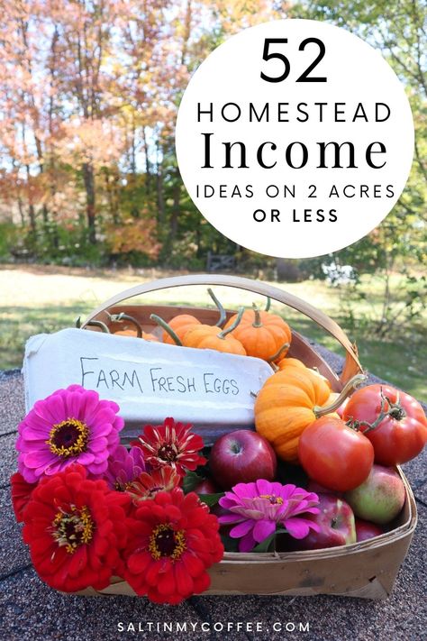 Looking for ways to make homesteading income from a small piece of land? This list is full of ideas and links to help fuel your passion to make a living from home! There are so many ways to make real income from even the tiniest piece of land. We've used our very small homestead property to make income in ways that let me stay home and make far more than I could working a job in our small town. Here are some of the ways we've made our property work for us, and many more! Homesteading In The Woods, Homestead In Town, Make Money Gardening, Homestead Items To Sell, Making Money From Homestead, Homestead Income Ideas, How To Make Money Homesteading, Buying Land For Homestead, Homestead Money Making Ideas