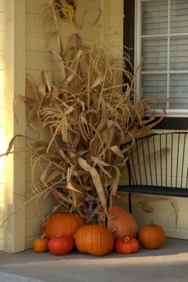 Sukkot:  Hide poles of the Sukkah with beautiful corn husks.  This adds a lot of visual height!  For more Sukkot ideas, follow Everyday Simchas Pinterest Board! Porch Diy, Fall Front Porch Ideas, Outside Fall Decor, Fruits Decoration, Corn Stalks, Easy Fall Decor, Fall Festivals, Fall Deco, Autumn Decorating