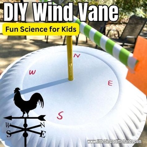 Learn about wind direction with an easy to make DIY wind vane for a fun weather activity at home or in the classroom. Wind Science Preschool, Measuring Weather Activities, Wind Kindergarten Activities, Stem Weather Activities, Weather Activities Elementary, Weather Stem Activities Elementary, Wind Science Experiments For Kids, Weather Experiments Elementary, Wind Experiments Preschool