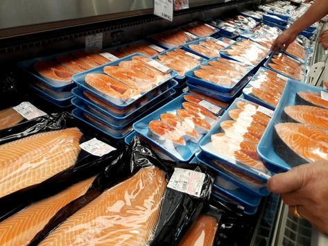 Sushi Grade Salmon, Costco Salmon, Salmon Farming, Sushi At Home, King Salmon, Salmon Sushi, Atlantic Salmon, Salmon Fish, How To Make Sushi