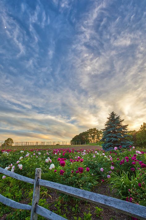 Massachusetts Landscape, Natick Massachusetts, Entrance Way, England Photography, Farm Lifestyle, Farm Photography, Landscape Sunset, Happy Photos, Scenery Pictures