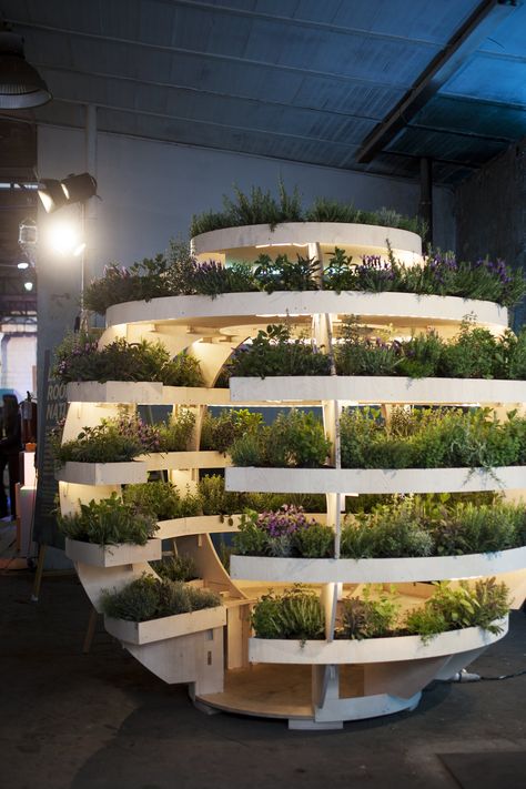 Inside IKEA’s Laboratory of Futuristic Foods - Gastro Obscura Futuristic Garden, Microgreens Growing, Microgreens Garden, Indoor Farming, Indoor Playhouse, Basil Plant, Vertical Farming, Garden Indoor, Futuristic Furniture