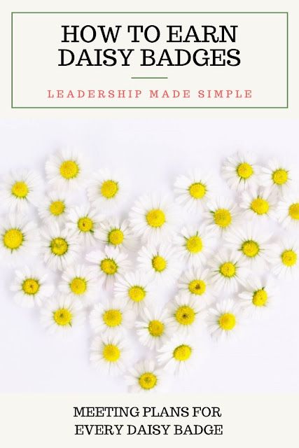 Earning Daisy Petals Activities, Daisy Scout Badges, Daisy Badges To Earn, Girl Scout Daisy Petals Activities, Daisy Scout Activities, Girl Scout Daisy Badges, Daisy Troop Meeting Ideas, Daisy Badges Activities, Daisy Badge Ideas