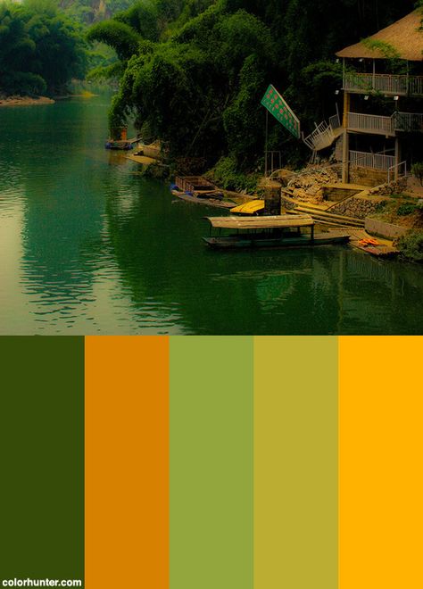 Jungle+Boat+Color+Scheme Rain Forest Color Palette, Tropical Forest Color Palette, Rainforest Colour Palette, Jungle Colour Palette, Rainforest Color Palette, Africa Color Palette, Jungle Color Palette, Jungle Palette, Tropical Color Scheme