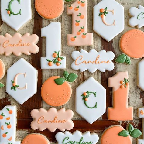 Cookies by Chelsea on Instagram: “Clementine cuties 🍊 . . . #cookiesbychelsea #cookiedecorating #royalicingcookies #clementinecookies #sugarcookiesofinstagram #1stbirthday…” Kids Cookies, Peach Cookies, First Birthday Cookies, Peach Baby Shower, Orange Baby Shower, Peach Party, Sugar Cookie Designs, Pretty Cookies, Baby Cookies