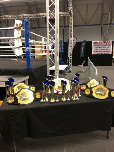 Boxing Snap, Boxing Trophy, Boxing Tournament, Workout Bags, Punching Bag, Fitness Training, Boxing, Collage, Sports