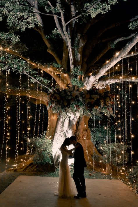 Incredibly Glam Costa Rican Wedding at Campo Lago | Junebug Weddings Costa Rican Wedding, Tropical Wedding Venue, Diamond Photo, Twilight Wedding, Jungle Wedding, Forest Theme Wedding, Beachy Wedding, Costa Rica Wedding, Wedding Tree