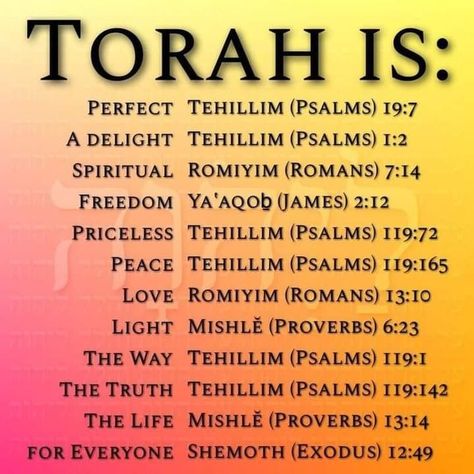 Chester Lopez - Selah !!! That's exactly what Torah is !!! Cepher Bible, Torah Quotes, Jewish Beliefs, Hebrew Prayers, Messianic Jewish, Revelation Bible, English To Hebrew, Hebrew Lessons, Lucky Wallpaper