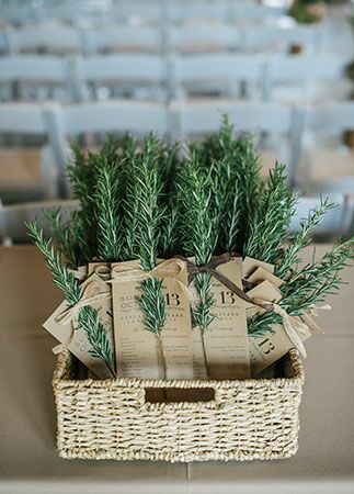 Wedding Program Examples, Pine Tree Wedding, Herb Wedding, Wedding Tree Decorations, Wedding Ceremony Readings, Wedding Ceremony Programs, Ceremony Programs, Program Ideas, Wedding Pins