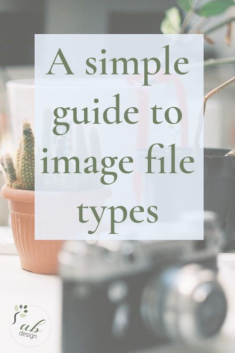 Confused about type of file to use when? This simple guide will explain the various image file types and their best uses. Free Business Resources, Business Board, Marketing Advice, Business Resources, File Types, Creative Entrepreneurs, Business Tips, Online Marketing, Helpful Hints