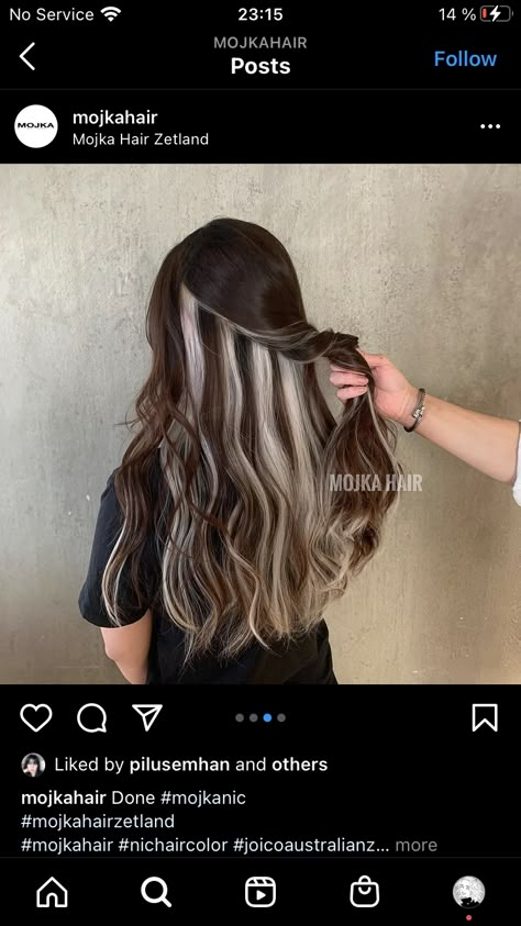 Chunky Underlights, Underneath Dyed Hair, Undercolor Hair, Blonde Underneath Hair, Silver Hair Color Ideas, Two Color Hair, Hidden Hair Color, Best Haircuts For Women, Wedding Hair Colors