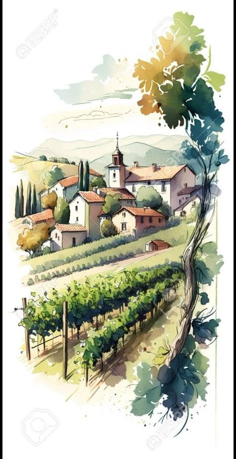 Vineyard Watercolor, Grapes Wine, Wine Vineyards, Start Painting, Architectural Art, Art Drawing Ideas, Paintings Tutorials, Art Watercolor Painting, Watercolor Paintings Tutorials