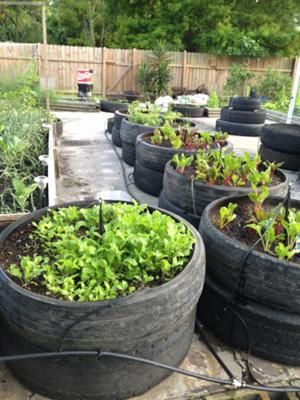 Recycled Tyres Garden, Diy Tire, Container Gardening Ideas, Tire Garden, Vegetable Garden Diy, Veggie Patch, Tyres Recycle, Recycled Garden, Garden Deco