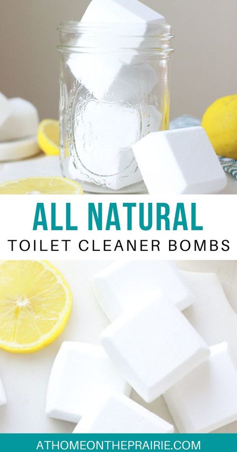 Diy Toilet Bowl Cleaner, Homemade Toilet Bowl Cleaner, Natural Toilet Cleaner, Natural Cleaners Diy, Diy Household Cleaners, Homemade Toilet Cleaner, Homemade Cleaning Supplies, Natural Cleaning Recipes, Toxic Cleaning Products