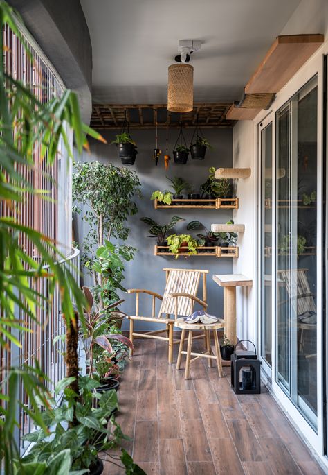 A balcony full of plants, bamboo shelves and furniture and ofcourse the cat play area ❤️ It’s a mood 😍 Minimalist Bachelor Pad, Bamboo Shelves, Shelves Plant, Cat Play Area, Bamboo Shelf, Cat Plants, Cat Shelves, Bachelor Pad, Balcony Design