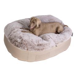 Dog Bean Bag, Giant Dog Beds, Outdoor Pet Bed, Dog Bedroom, Extra Large Dog Bed, Soft Dog Beds, Luxury Pet Beds, Outdoor Dog Bed, Designer Dog Beds