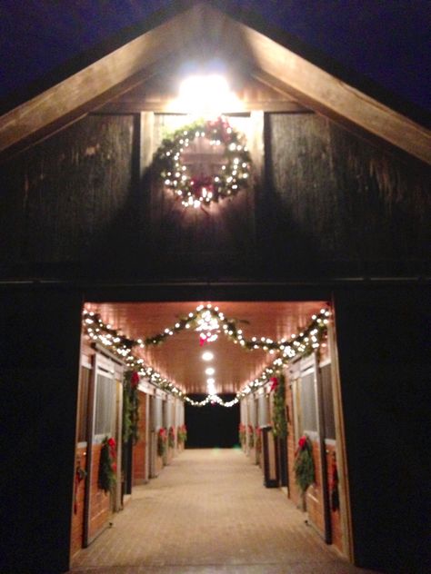 Christmas Stable Horse, Horse Barn Christmas Decorations, Stable Christmas Decorations, Christmas Horse Stall Decorating Ideas, Horse Stall Christmas Decorations, Christmas Horse Stall, Christmas Barn Decorations, Barn Christmas Decorations, Horse Barn Decor