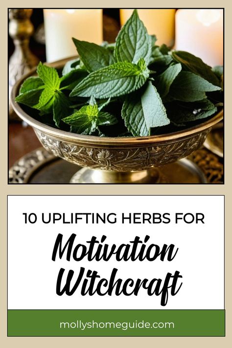 Discover the power of herbs for motivation witchcraft with these Magickal Herbs For Motivation. Enhance your energy and focus with natural healing using herbs such as Ashwagandha, Rosemary, and Bay leaf. Dive into the world of Herb Magic and learn about Aphrodisiacs while exploring Witches Brew Tea Recipes to elevate your practice. Whether you are a beginner or well-versed in herbology, Herbs of the Moon can add a touch of magic to your spells. Motivation Witchcraft, Herbs For Motivation, Herb Magic, Magickal Herbs, Feeling Low, Brew Tea, Magic Herbs, Magical Herbs, Herbal Magic