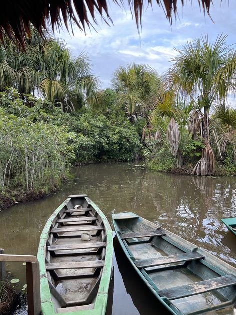 Lago Yacumama near Puerto Maldonado at sunrise or sunset is a great alternative to Lake Sandoval in Tambopata, Madre de Dios, Peru. Piranha Fish, Puerto Maldonado, Peru Travel Guide, Watch The Sunrise, Australian Travel, Varadero, Peru Travel, Europe Tours, Indigenous Community