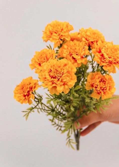 Orange Marigolds, Marigold Wedding, Marigold Flowers, Flower Cottage, Flower Business, Flowers Shop, Fall Arrangements, Marigold Flower, Silk Flowers Wedding