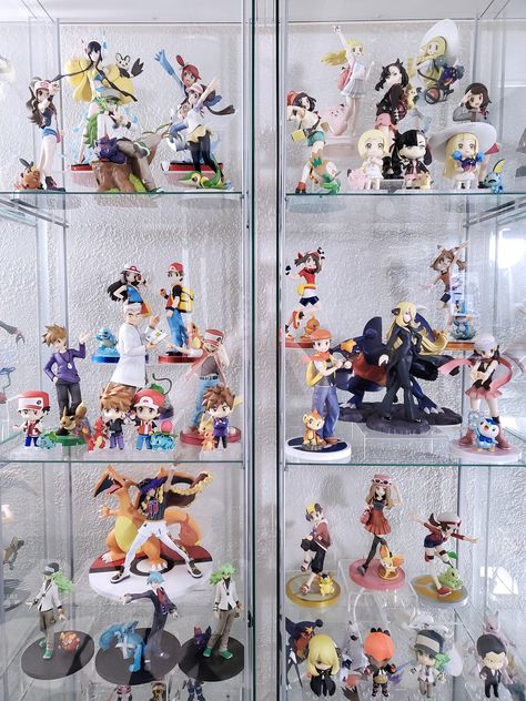 Pokemon Collection Display, Collection Display, Pokemon Collection, Displaying Collections, Banner Design, Pokemon, Baseball Cards, Anime, Pokémon