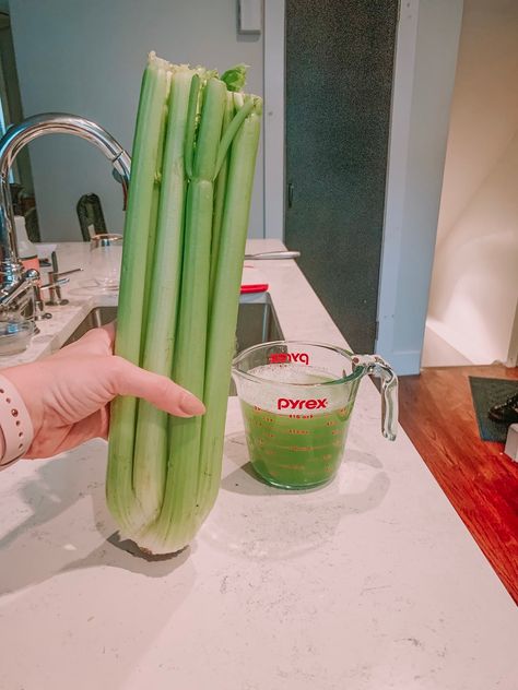 How I Make Celery Juice Without a Juicer - Rach Martino How To Juice Celery, Celery Juice Vitamix Recipe, Juicing Celery Recipes, Celery Juice Recipe Blender, Juicing Without A Juicer, How To Make Celery Juice, Rach Martino, Juice Without A Juicer, Celery Juice Recipe