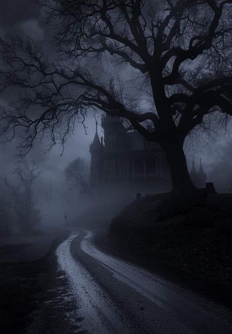 Creepy Moodboard, Moody Trees, Creepy Fog, Wip Aesthetic, Facts About Halloween, Foggy Night, Eerie Places, Dark Castle, Dark Landscape