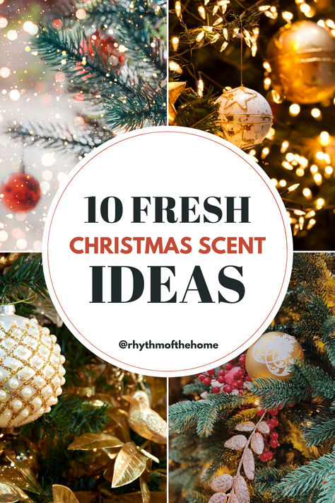 10 Winter Scents That Will Make Your Home Smell Like Christmas Home Smell Like Christmas, Christmas Tree Smell, Smell Like Christmas, Baby Basket, Winter Scents, Home Smell, Baby Baskets, Christmas Scents, Natural Christmas