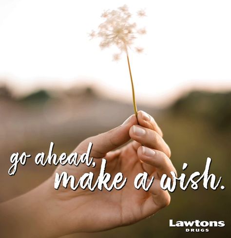 Lawtons Drugs (@lawtonsdrugs) • Instagram photos and videos Make A Wish, Go Ahead, Milestones, Just Because, Wonder, Instagram Photos, Photo And Video, Instagram Photo, Like Button