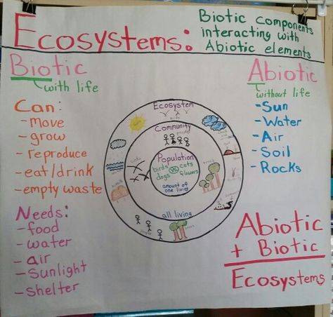 Ecosystems : Biotic vs Abiotic Anchor Chart Biotic And Abiotic, Ecosystem Diagram, Levels Of Organization In An Ecosystem, Abiotic Factors, Biodiversity Lessons, Interactions In The Environment Grade 7, Nonfiction Anchor Chart, Biodiversity Grade 6, Science Anchor Charts