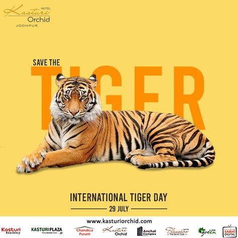 Let's celebrate the International 🎉 Tiger day and remember their contribution in the nature. Tiger is a symbol of Beauty, Bravery, Strength and Nationality. So save the tiger, save the nation pride. 🐅.  #tigers #international #internationaltigerday #nature #protect #wildlife #wildanimals #respect #dontharmanimals #bethechange #savetigers #protectwildlife #Kasturiorchid #jodhpur Zoo Poster Design, Zoo Sign, Billboard Ideas, International Tiger Day, Tiger Day, Pet Branding, Save The Tiger, International Days, Wildlife Protection