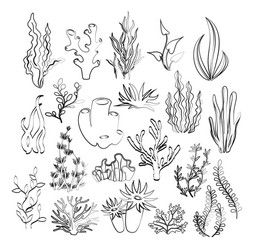 Coral Reef Drawing, Sea Plants, Hand Drawn Vector Illustrations, Fish Patterns, Hand Drawn Vector, Vector Drawing, Black And White Illustration, Diy Art Painting, Coral Reef