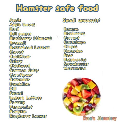 Diy Hamster Treats Recipes, Hamster Must Haves, Hamster Treat Recipes, Hamster Food Ideas, Hamster Food List, Hamster Essentials, Homemade Hamster Toys, Diy Hamster Food, Hamster Ideas