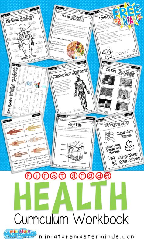 First Grade Curriculum Health Workbook Free Printable – Miniature Masterminds 2nd Grade Science Curriculum, First Grade Homeschool Curriculum Free Printable, First Grade Homeschool Curriculum, Grade 1 Curriculum, Homeschool First Grade, Homeschooling First Grade, First Grade Curriculum, Book Miniature, Free Homeschool Printables