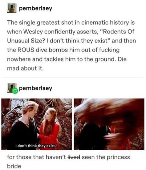 Princess Bride Funny, Princess Bride Quotes, The Princess Bride, Movie Facts, Princess Bride, Disney And Dreamworks, The Princess, Tumblr Funny, Best Memes