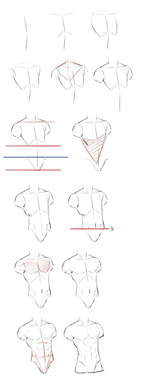 Male Nose, Drawing Poses Male, Male Body Drawing, Human Body Drawing, الفن الرقمي, Anime Male, Anatomy Tutorial, Body Drawing Tutorial, Body Reference Drawing