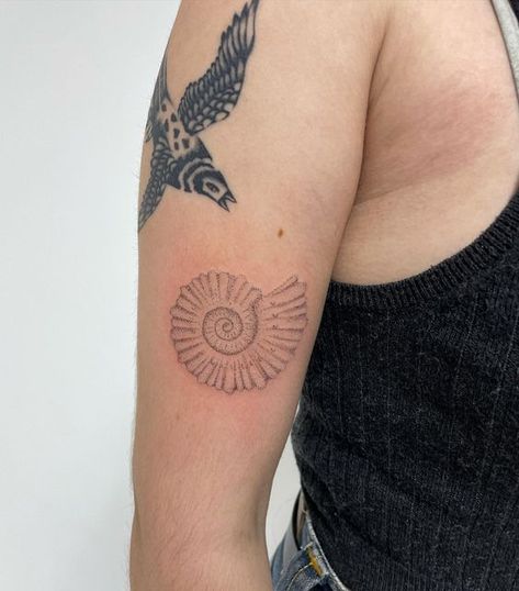 Elise on Instagram: "an ammonite for @roxyhubbert 🫶🏻🍓 thank you for getting this <3 lovely to meet you" Ammonite Tattoo Fossil, Ammonite Drawing, Ammonite Tattoo, Fossil Tattoo, Seashell Tattoos, Shell Tattoos, Tatoo Inspiration, Dinosaur Tattoos, Cute Tats