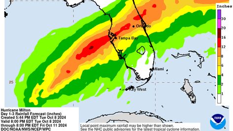 Forecast grim for these Florida cities directly in Milton's projected path Florida Ghost, Florida Map Illustration, Florida State Parks Map, Florida Trail, Wind Gust, Storm Surge, Florida City, Florida Museum Of Natural History, Disney Orlando