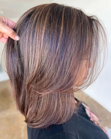 Stunning Caramel Babylights on Brunettes Curlie Hairstyles, Heavy Highlights, Hairstyle Natural Hair, Zicxa Photos, Kids Haircut, Babylights Hair, Long Hair Highlights, Sports Hair, Braiding Hairstyles