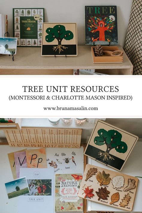 Tree Unit Preschool, Montessori Themes, Forest Unit, Montessori Botany, Tree Unit, Interest Led Learning, Nature Studies, Montessori Lessons, Plant Study