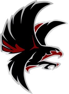 Falcon clip art Falcon Drawing, Cone Ideas, Atlanta Falcons Svg, Hawk Logo, Falcon Logo, Native Artwork, Eagle Drawing, Cnc Ideas, Sport Logos