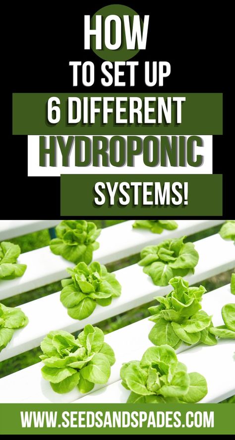 What is hydroponics? Hydroponics involves growing plants in nutrient-enriched water rather than soil. Growing plants in a hydroponic system makes nutrients, oxygen, and moisture readily available, resulting in faster production and larger harvests. In this article, you’ll learn more about the background of soil-less growing and more details on how each system works along with its pros and cons. Let’s get started! #hydroponics #hydroponicsystems #gardeningtips Homemade Hydroponics, Aeroponic Gardening, Hydroponic Gardening Diy, Indoor Hydroponic Gardening, Hydroponic Gardening System, Hydroponic Vegetables, Hydroponic Grow Systems, Indoor Hydroponics, Hydroponic Systems